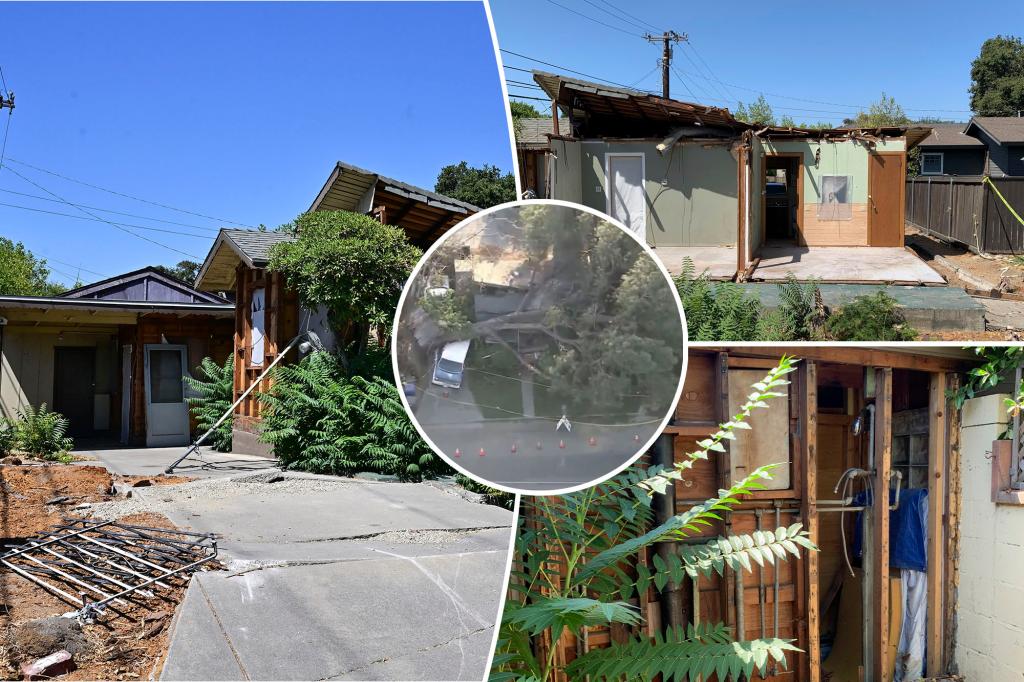 California bungalow aims for $500,000 - months after it was destroyed by a falling pine tree