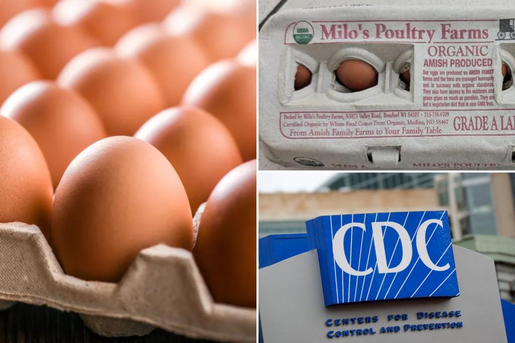 Wisconsin health officials are recalling eggs after salmonella outbreaks in many states